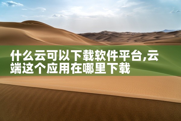 什么云可以下载软件平台