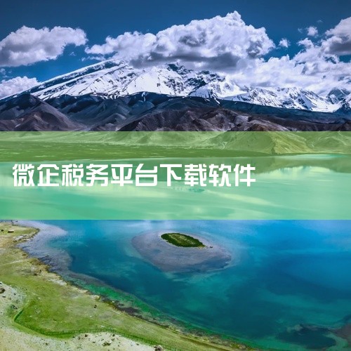 电子税务局APP的下载流程如下：1. 打开浏览器，输入您所在城市的名称加上“电子税务局”进行搜索。2. 进入搜索结果页面后，点击页面右上角的“下载”按钮。在弹出的下载服务列表中，找到电子税务局的客户端|